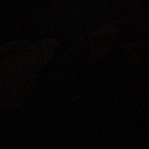 Meet your Posher, Alejandro